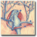 Рисунок 13. Эктазия сафенофеморального
соединения (тип 1).